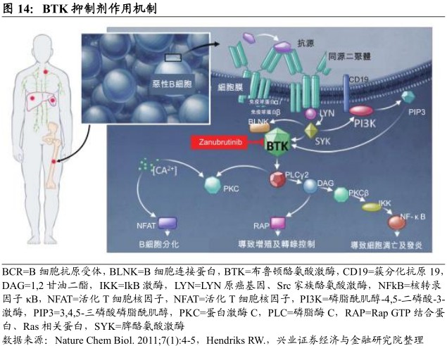 新股研报| 百济神州(06160):首例港+美股架构 癌症创新药先锋