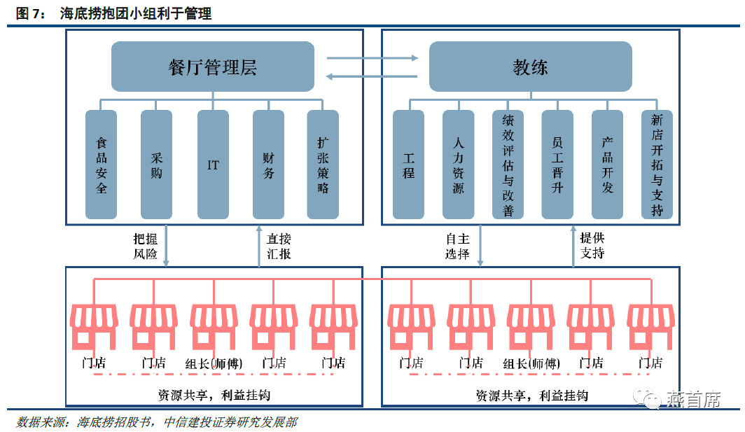 海底捞的组织结构图片