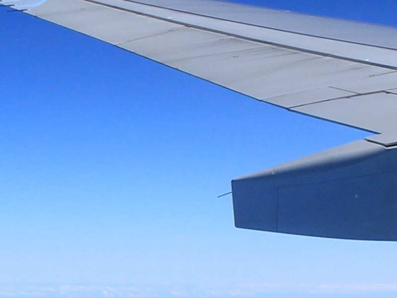 美股異動 | 航空、郵輪股走高 聯合大陸航空(UAL.US)漲超2.4%