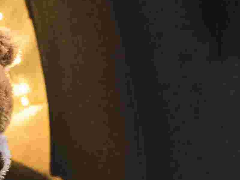 港股概念追蹤|美國或准備豁免嬰兒車關稅 中國産企業或受益(附概念股)