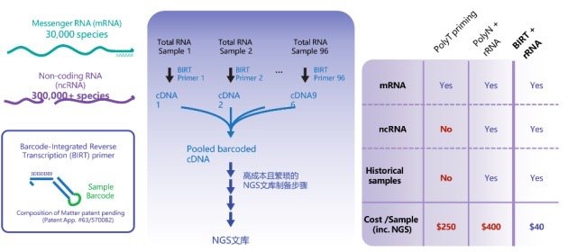 康圣环球(09960)携手 Biostate AI 抢占AI医疗新蓝海