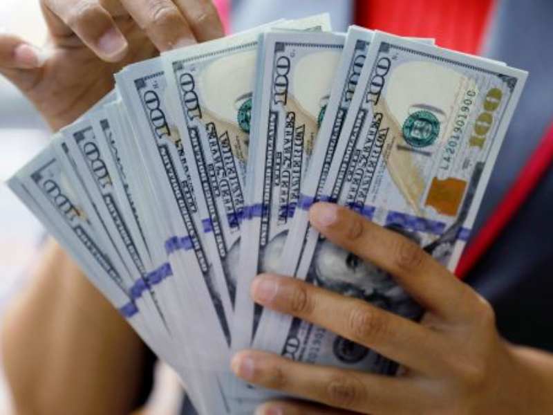 需求韧性+成本下降,美元树(DLTR.US)上调全年盈利指引