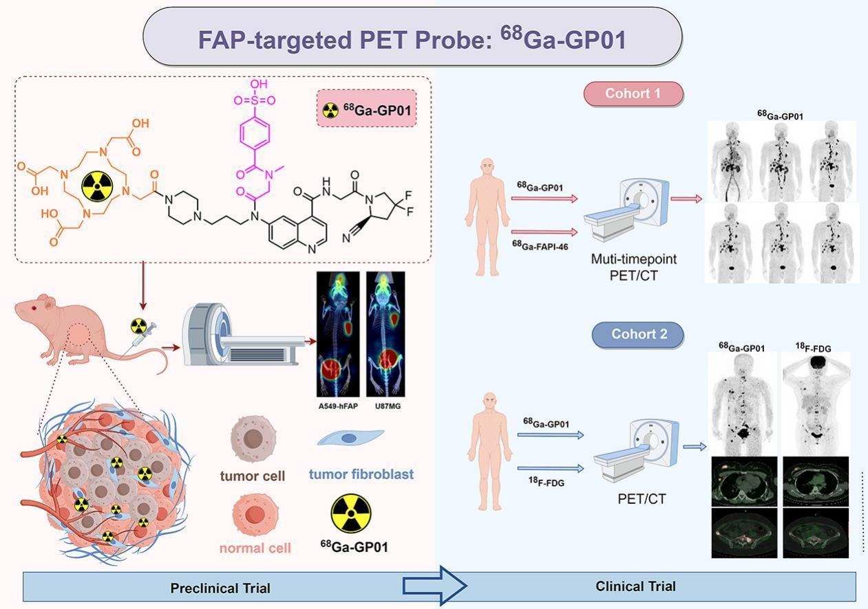 1765968486744169.png 图片1.png