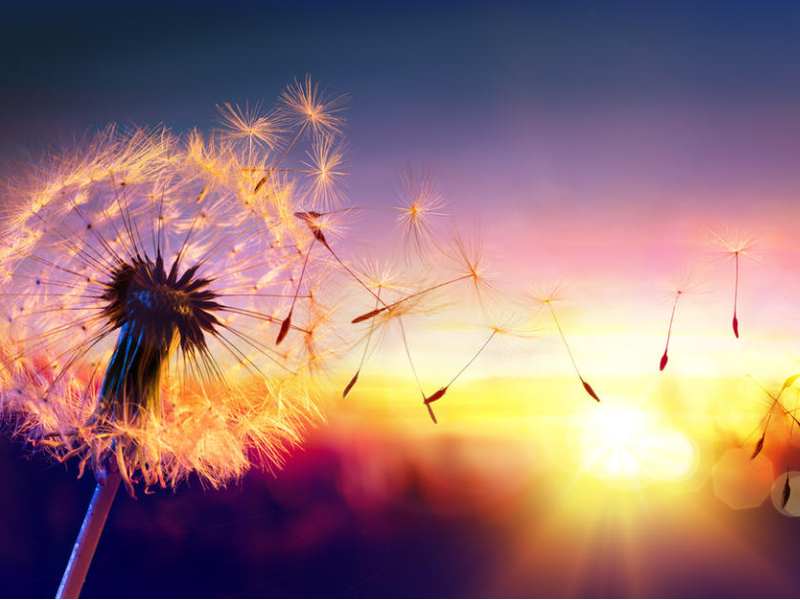 美股異動 | 禾賽(HSAI.US)漲逾3% 機構:2035年激光雷達和成像雷達市場規模預計將達280億美元