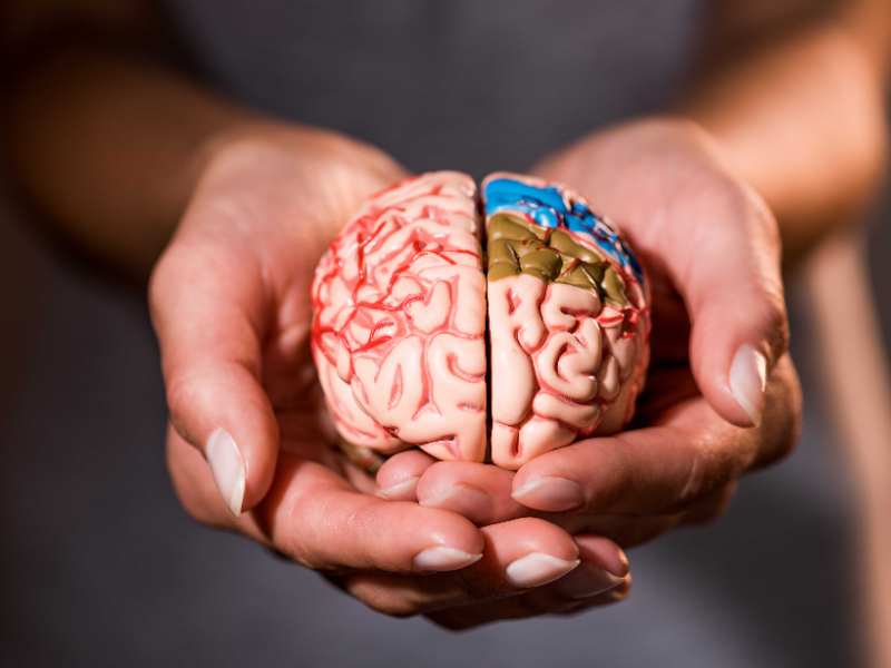 港股異動 | 先健科技(01302)午後漲近5% CSTM支架系統進入創新醫療器械特別審查程序