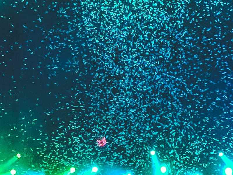 美股异动 | AI应用软件股走低 Applovin(APP.US)跌超9.7%