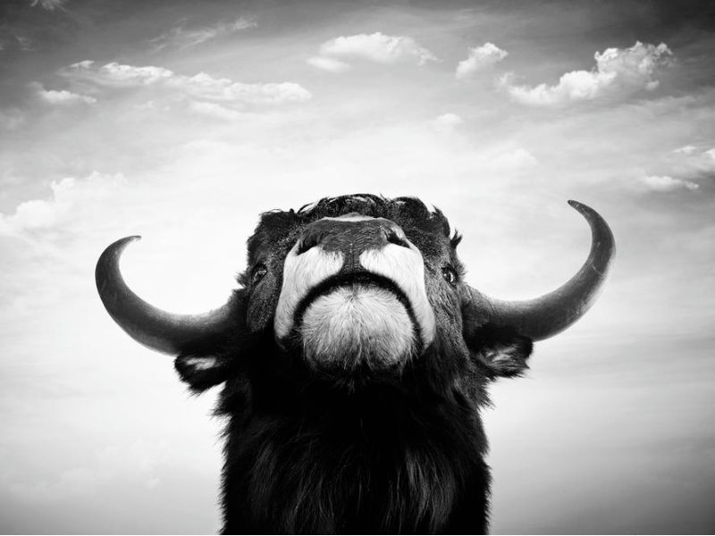 美股异动 | 燃石医学(BNR.US)涨逾10% 开发OncoCompass技术赋能肿瘤精准诊疗