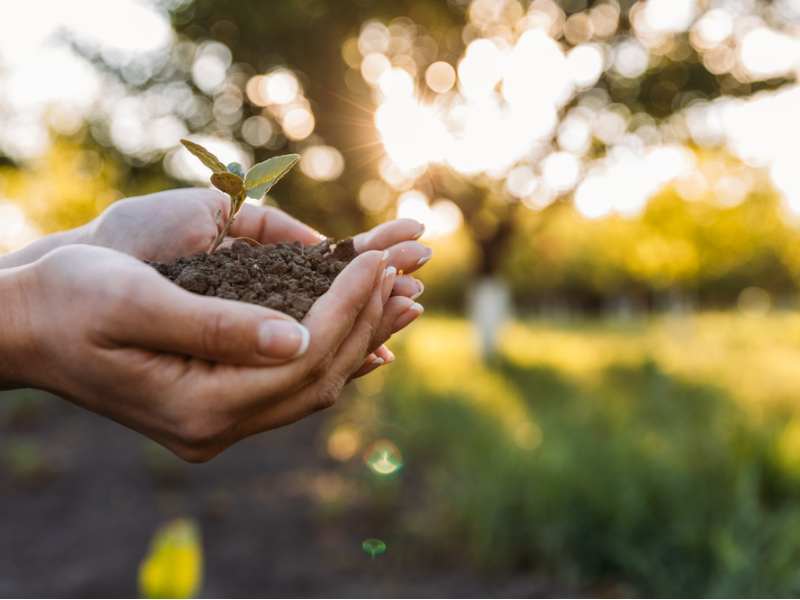 維港環保科技(01845)股東將股票存入凱基證券亞洲 存倉市值1110.88萬港元