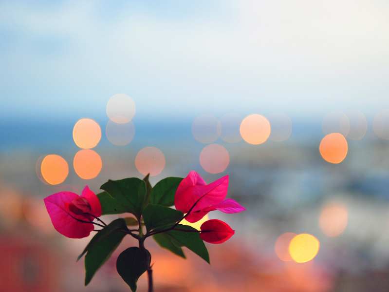 国内首个“IP+科技”乐园来了!爱奇艺乐园正式开票