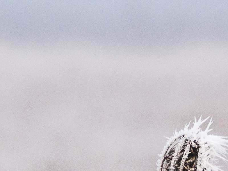 英特爾(INTC.US)指引“潑冷水” 分析師聚焦供應與毛利壓力 18A成關鍵變量