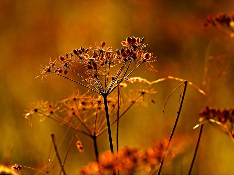 港股異動 | 嗶哩嗶哩-W(09626)再漲近5% AI應用已成爲B站目前最核心的廣告投放增量