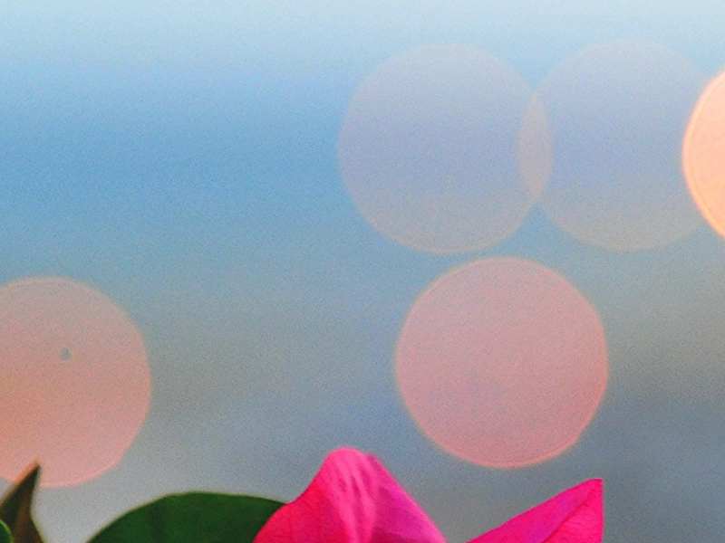 美股异动 | 热门中概股多数上涨 理想汽车(LI.US)涨超3%