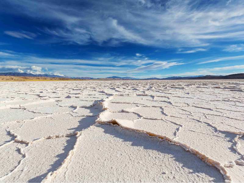 港股異動 | 贛鋒鋰業(01772)早盤跌超8% 全年扣非淨利潤仍虧損3億至6億元