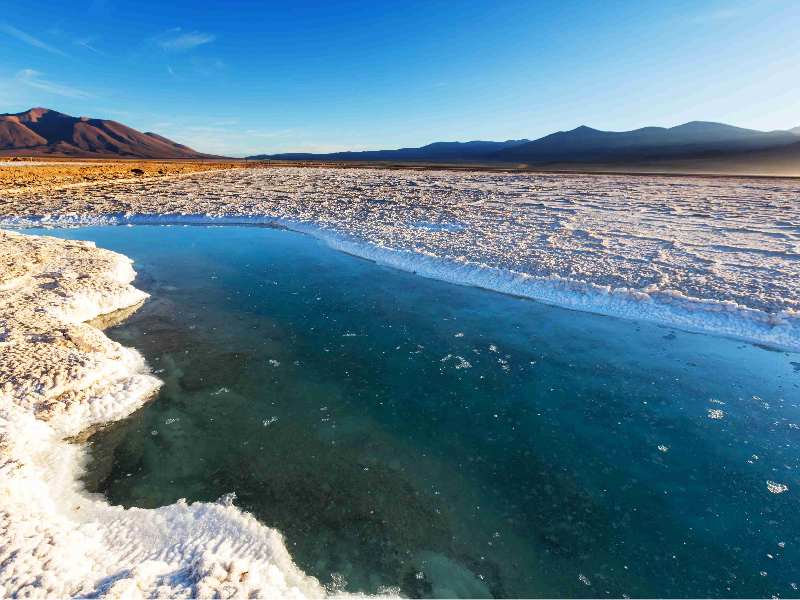 港股異動 | 天齊鋰業(09696)再跌超8% 智利推進鋰礦國有化 公司來自SQM收益可能減少