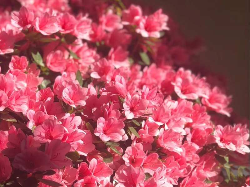 港股異動 | MIRXES-B(02629)高開逾5% 公司聯合創始人及基石投資者自願承諾不出售公司股份