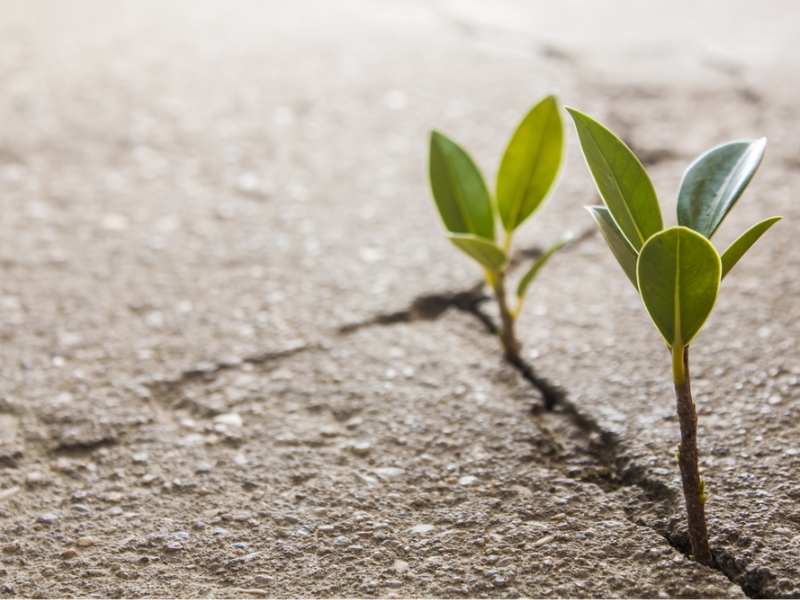 港股異動 | 重慶機電(02722)早盤漲近6% 旗下重慶康明斯、重慶日立能源受益於數據中心和電網建設