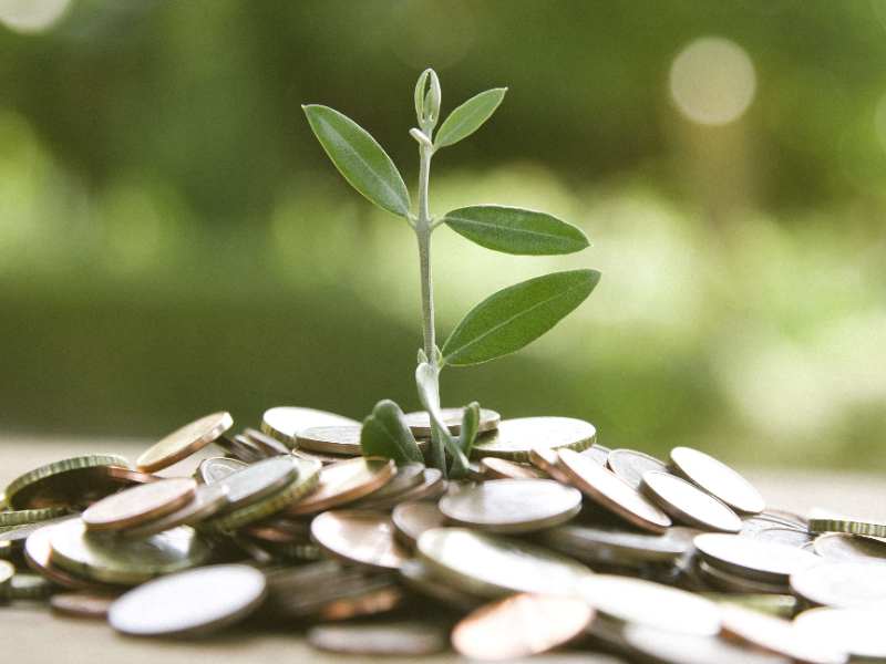 星展聯手多元資產投資平臺GraniteAsia 成立逾8億港元AI新股基金