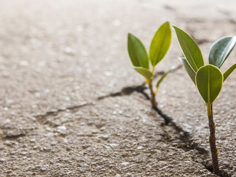 港股異動 | 珍酒李渡(06979)漲近4% 春節白酒動銷整體符合節前市場預期