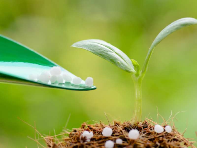 港股異動 | 中化化肥(00297)再漲超4% 公司磷礦儲備資源豐富 機構看好其“生物+”戰略