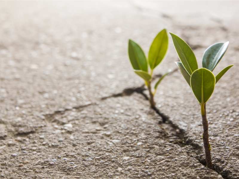 港股異動 | 中國聯塑(02128)盤中漲近7% 年內累漲逾五成 消費建材行業價格有望溫和修復