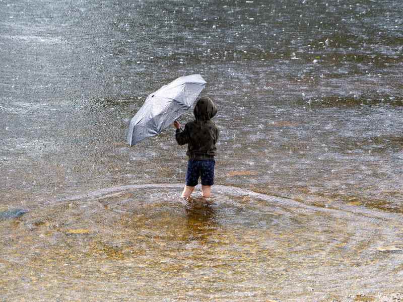 港股异动 | 瑞丰动力(02025)一度暴跌超40% 三个交易日股价腰斩 此前被点名股价高度集中