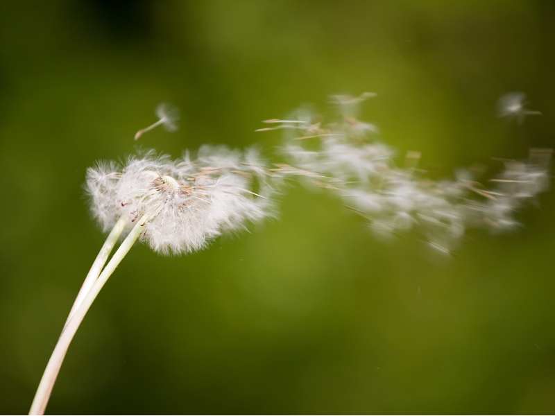 香港RISC-V联盟成立 港投公司领航共建开源芯片生态