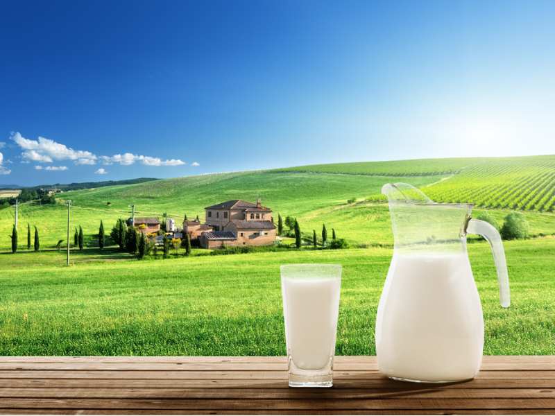 海通国际:维持优然牧业(09858)“优于大市”评级 上调目标价至5.6港元