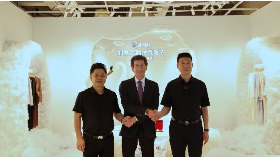 都市丽人2.png